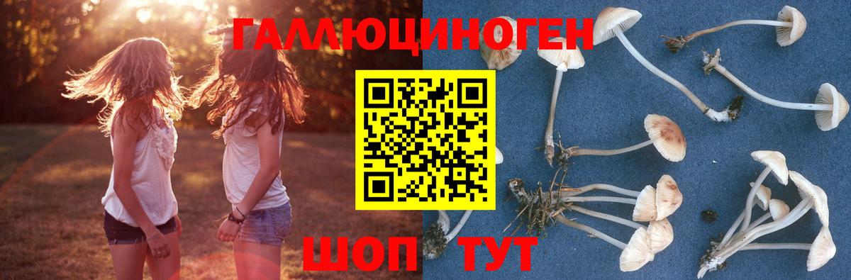 Галлюциногенные грибы MAGIC MUSHROOMS  Вход с VPN  Благодарный 